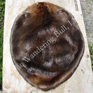 Beaver Pelt