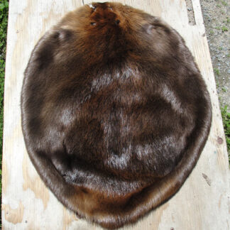 Beaver Pelt