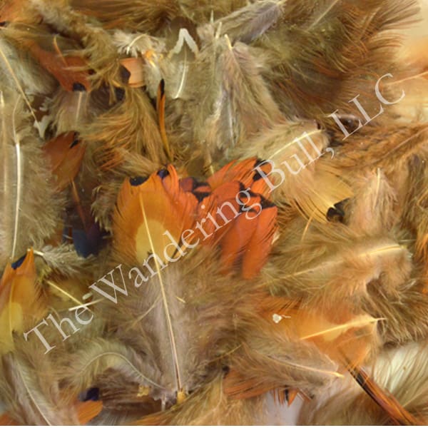 Feathers Assorted Pheasant Body a