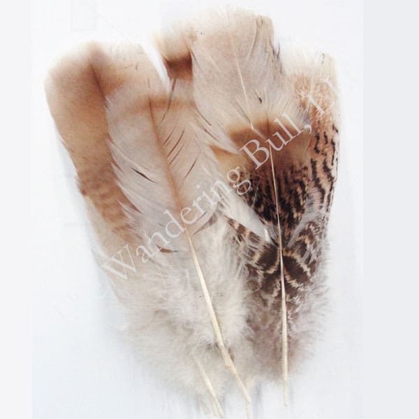 Cinnamon Pre Tail Turkey Feathers