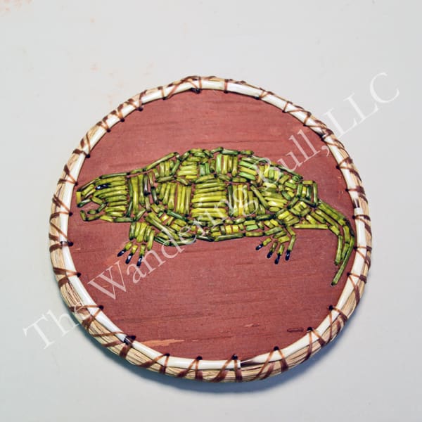 Quilled Snapping Turtle