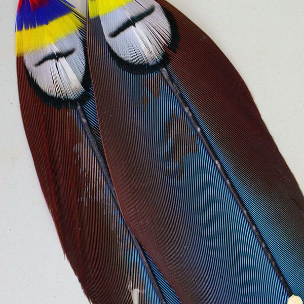 Scalp Feathers Beaded Leather