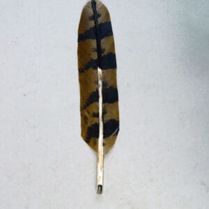 Hand Painted 'Owl' Feather