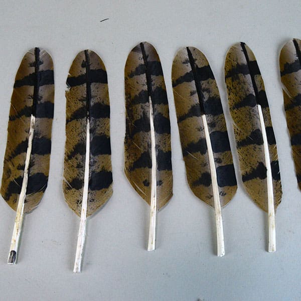 Hand-painted "Owl" Feathers