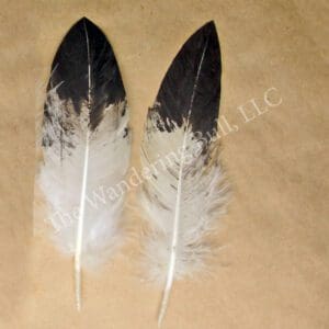 Hand Painted Breast Feathers