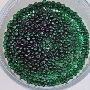 10/0 Vintage Cheyenne Green Seed Beads