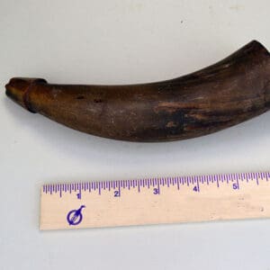 Powder Horn Antique