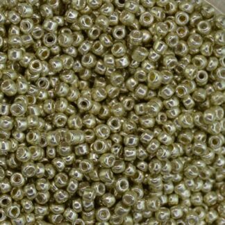 Metallic Silver Seed Beads 10/0 31 oz