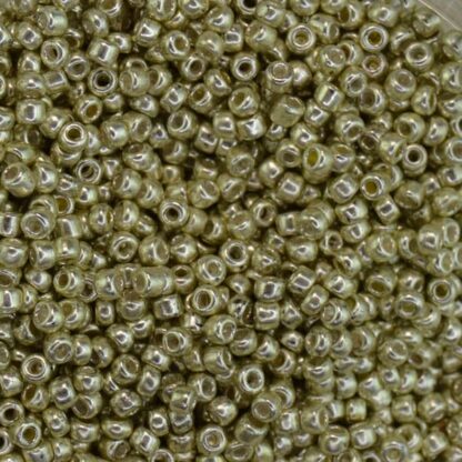 Metallic Silver Seed Beads 10/0 31 oz