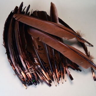 Feathers Brown Spikes Lot