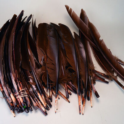 Feathers Brown Spikes Lot