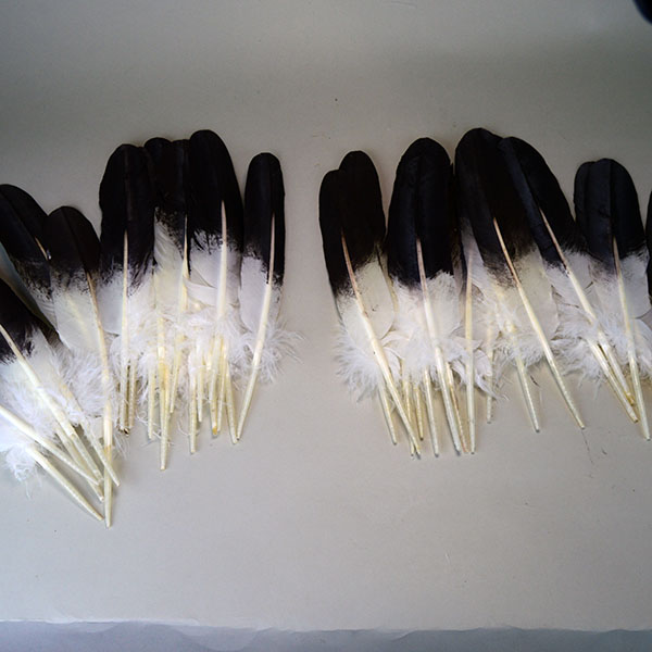 Feathers Hand Painted Lot