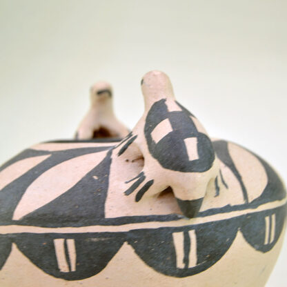 Pottery Acoma with Turtles