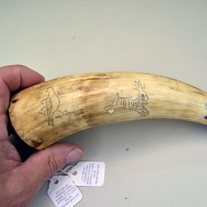 Powder Horn Animal Etchings