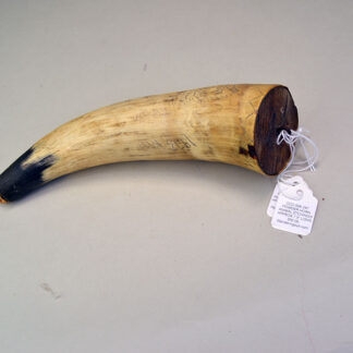 Powder Horn Animal Etchings