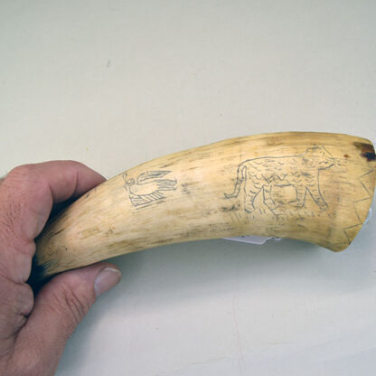 Powder Horn Animal Etchings