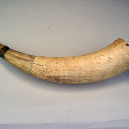 Powder Horn Wood End