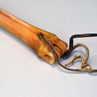 Quirt Deer Bone Leg