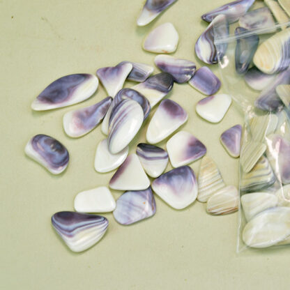 Wampum Polished Small