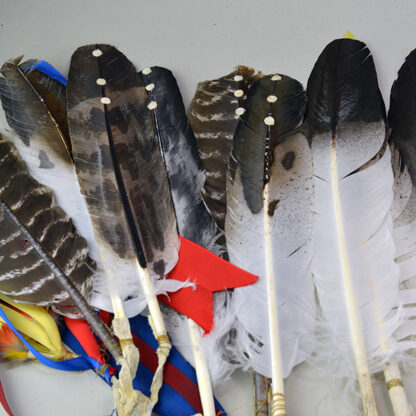 Feather Hand painted Lot