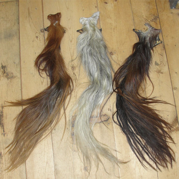 Horse Tail