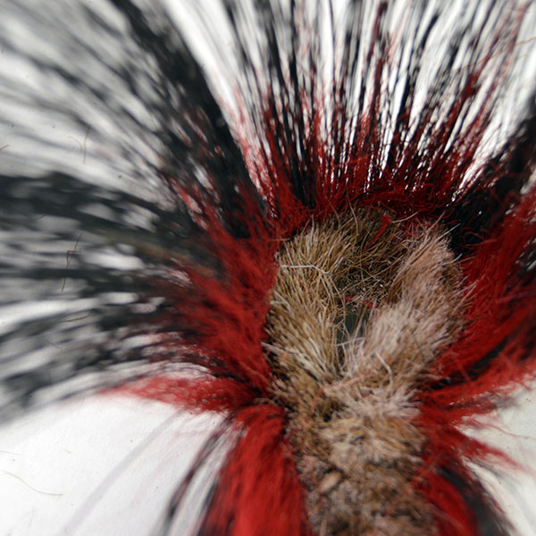 This 6" Tear Drop Turkey Beard Roach in Red is a spectacular example of mid-20th century craftsmanship. 6 inches in length and 2 inches wide. One of a Kind.
