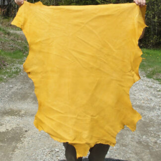 Sheep Skin Gold