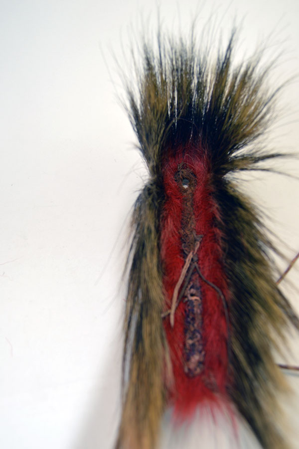 Antique hair base roach with red deer hair top view.