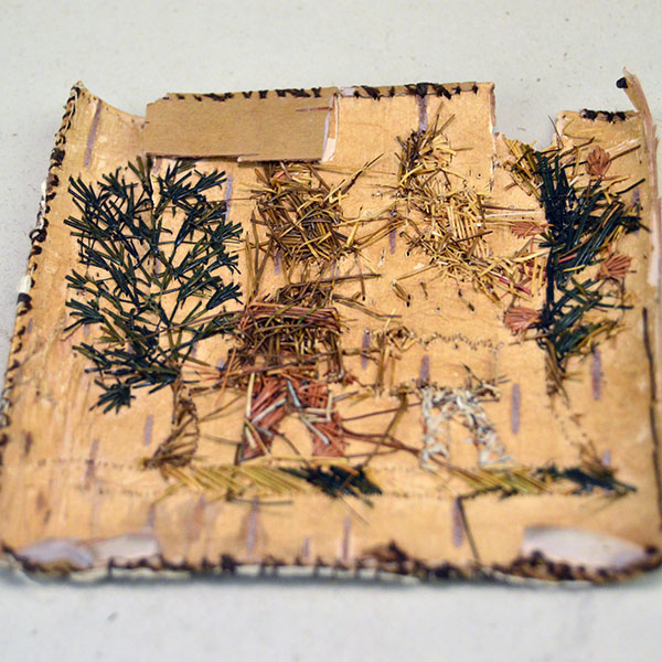 Birchbark Fragments Moosehair Embroidered back detail