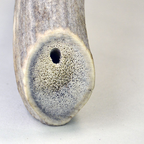 Elk Antler Hide Scraper