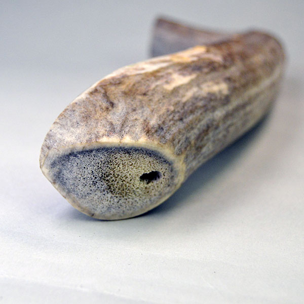 Elk Antler Hide Scraper