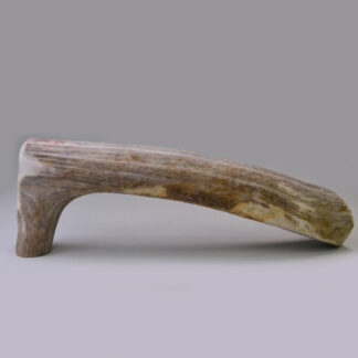 Elk Antler Hide Scraper