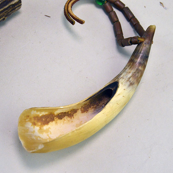 Antler and horn utility lot, ideal for artisans, collectors, and makers. The horn scoop measures 5.5" by 1.25". antler case with top measures 6" x 1.5" wide. pictured here is the horn scoop.