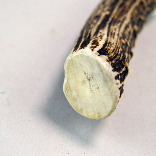 Antler and horn utility lot, ideal for artisans, collectors, and makers. The horn scoop measures 5.5" by 1.25". antler case with top measures 6" x 1.5" wide. pictured here is the end of the antler case.