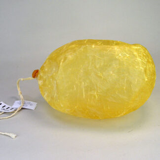 large Bladder- Inflated Bison measures approximately 10 inches long and 6 inches wide. , offering an impressive example of traditional bladder processing.