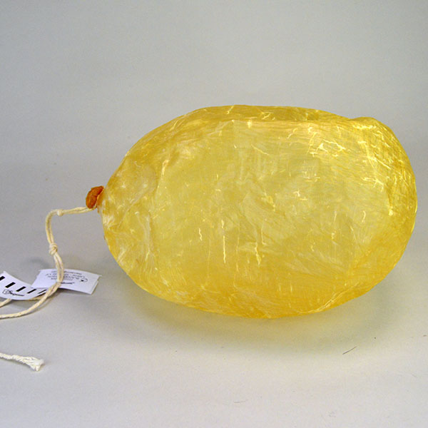 Bladder- Inflated Bison