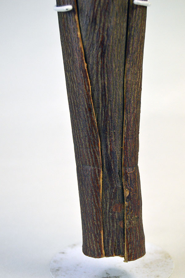 Bring this Elm Bark Rattle to your next event. Measures approximately 12 inches long. does not come with a strap. One of a Kind. the center of the rattle.