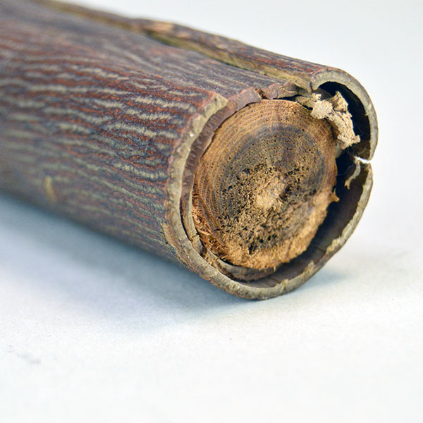 Bring this Elm Bark Rattle to your next event. Measures approximately 12 inches long. does not come with a strap. One of a Kind. The bottom.