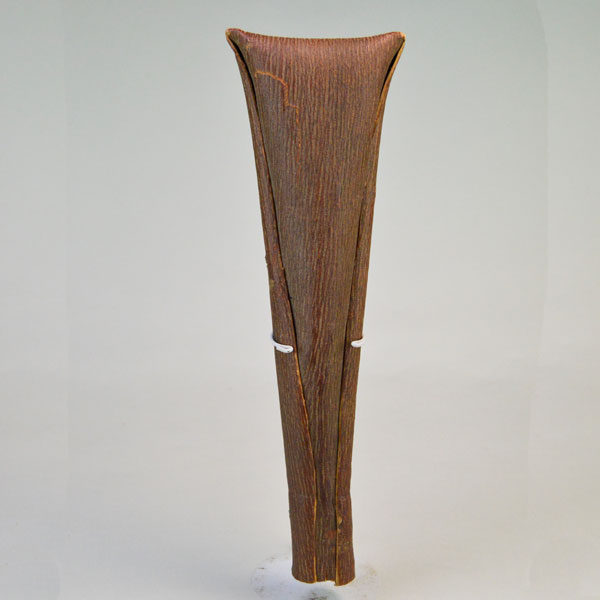 Rattle- Elm Bark