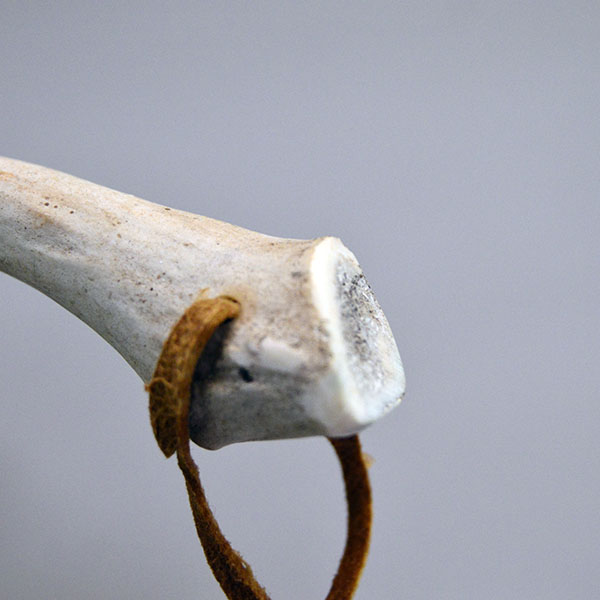 Dance Rattle- Deer Toes with 10 deer toes, 8 bells, 10″ bone handle, Braintanned leather lacing and wrist strap; handcrafted for dance or display. the end of the rattle where the wrist band is connected.