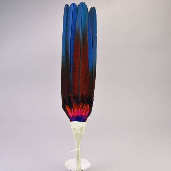 Fan Flat- Macaw Feathers