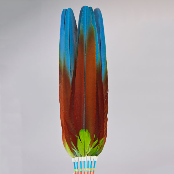 Flat Fan- With Macaw Feathers, vivid green accents, white leather handle with tassels, and bold color for regalia or display. Measures 18.5 inches long. The front showing the blues and reds with the vibrant green feathers.