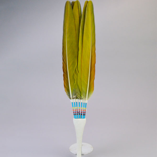 Flat Fan- With Macaw Feathers, vivid green accents, white leather handle with tassels, and bold color for regalia or display. Measures 18.5 inches long. Pictured here is the back showing the yellow of the back of the feathers.