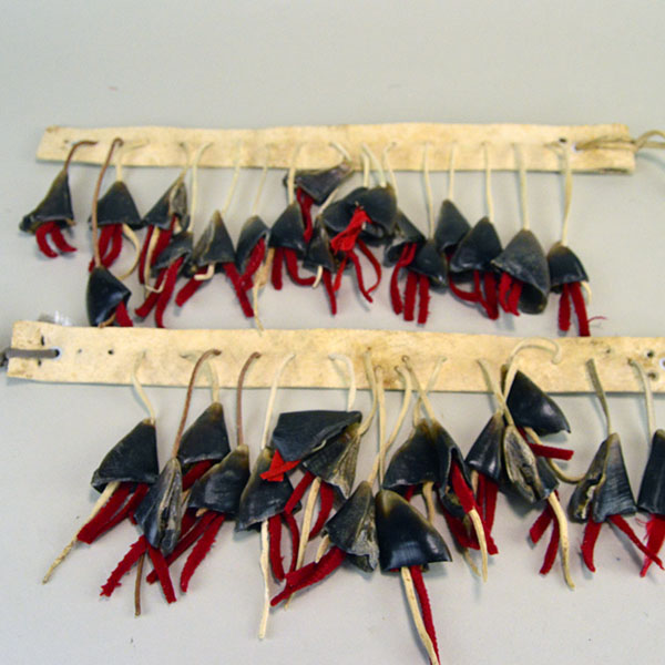 Handmade Deer Toe Leg Rattles on cream deerskin with red‑wool accents and traditional dance sound. They are approx. 14 inches long. one of a kind.