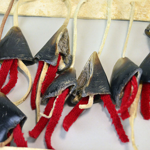 Handmade Deer Toe Leg Rattles on cream deerskin with red‑wool accents and traditional dance sound. They are approx. 14 inches long. one of a kind. The deer toes and the red wool fabric.