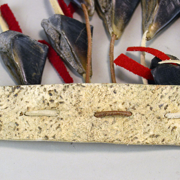Handmade Deer Toe Leg Rattles on cream deerskin with red‑wool accents and traditional dance sound. They are approx. 14 inches long. one of a kind. The back how the deer toe drops are attached.