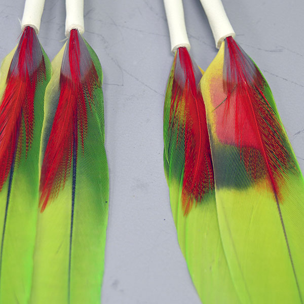 Scalp Feather- Macaw Pair with red and orange accents and leather wraps. Adds vivid color and movement to regalia. 7–7.5″ finished length. One of a Kind. Pictured here is the red feathers against the yellow- green macaw feathers on the front.